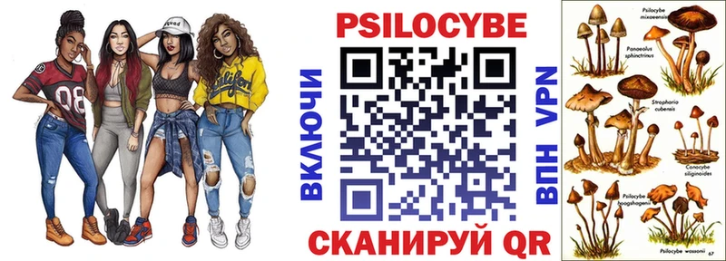 Купить закладки  Губкин  Галлюциногенные грибы мицелий 