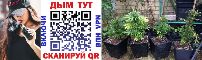 Бошки марихуана SATIVA & INDICA Губкин
